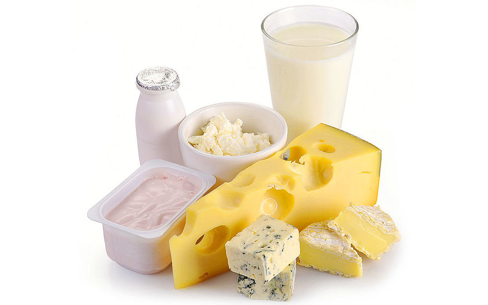 different cheeses and milk